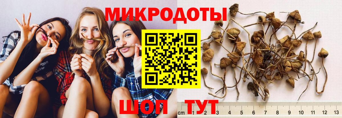Тольятти  Псилоцибиновые грибы мицелий  Вход с VPN 