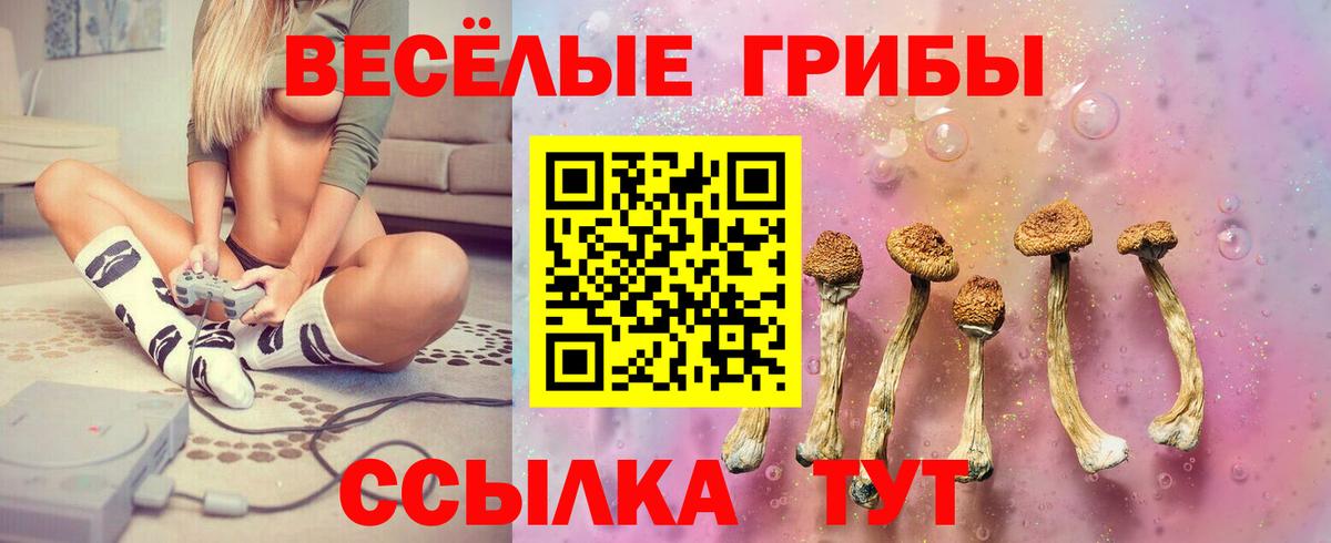 Псилоцибиновые грибы Psilocybine cubensis Тольятти